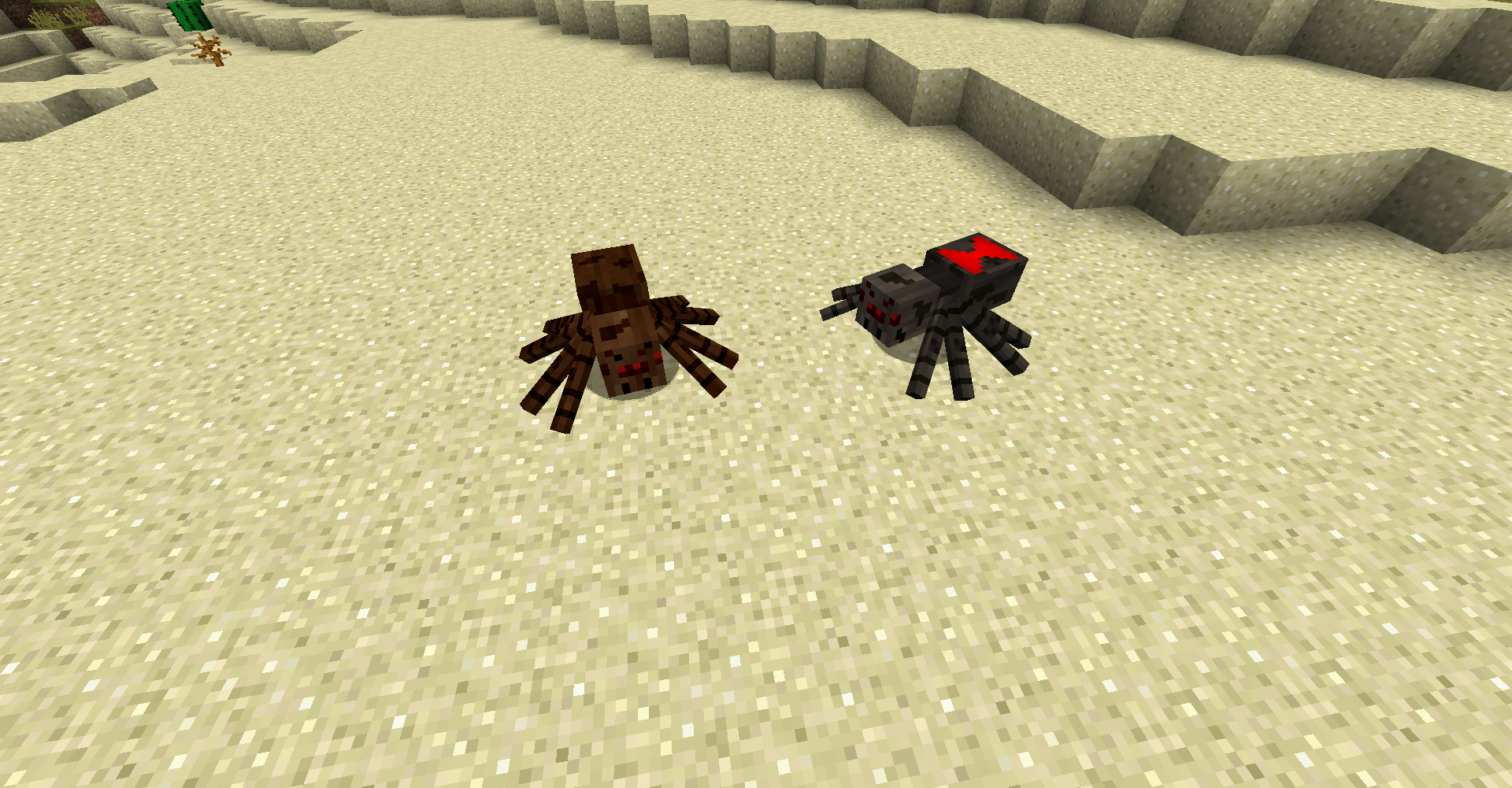 Black Widow & Wandering Spiders