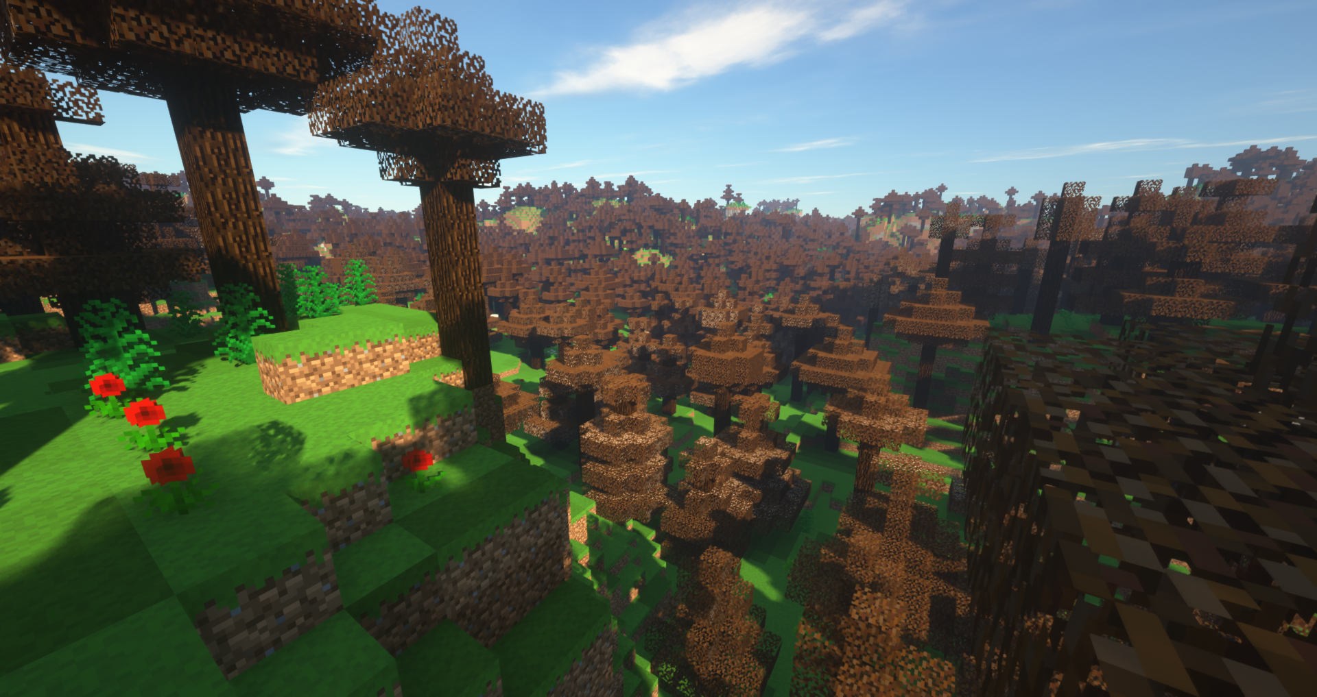 Screenshot thumbnail
