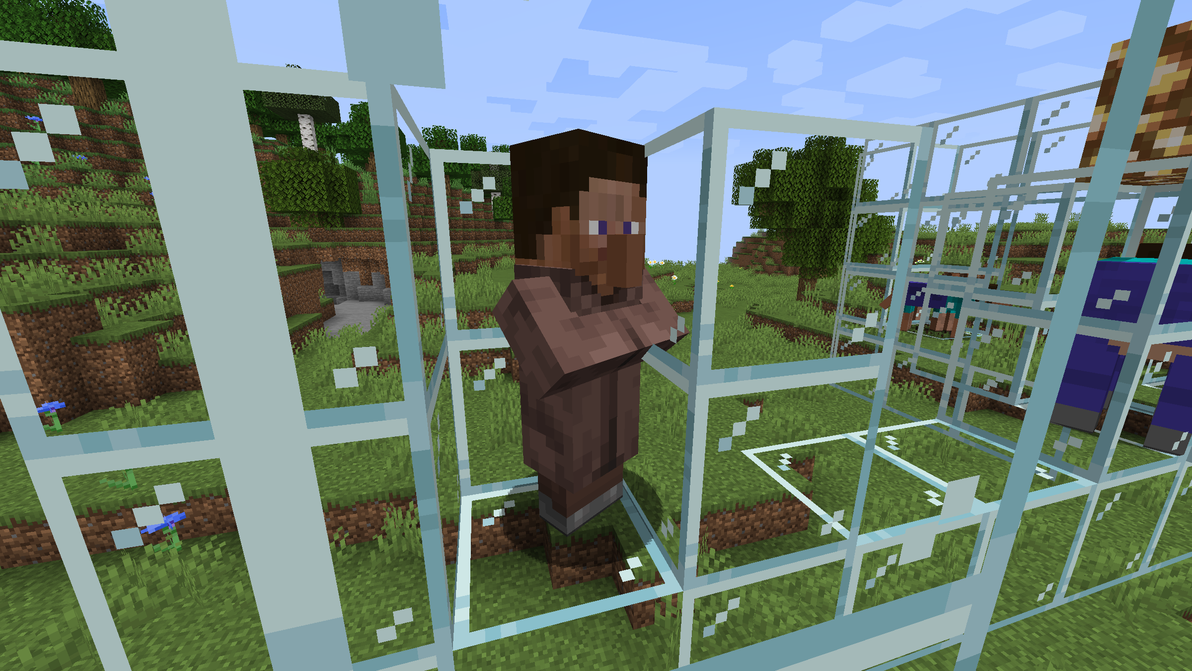 Steve-Villager