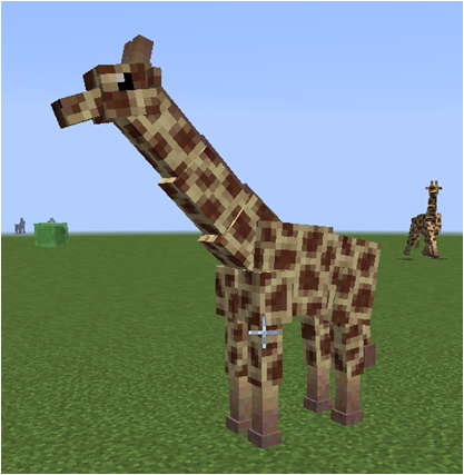 West African Giraffe