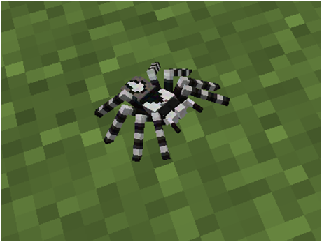 Indian Ornamental Tarantula