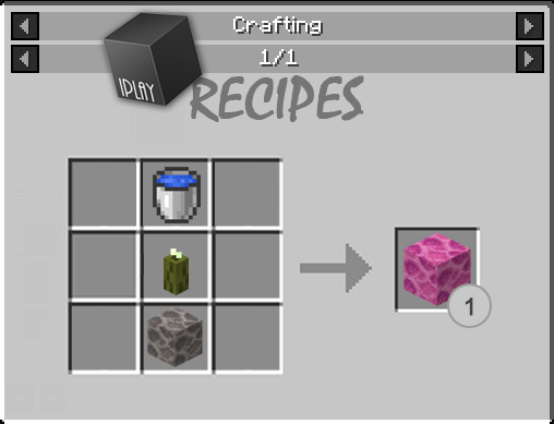 Coral Brain Block Recipe