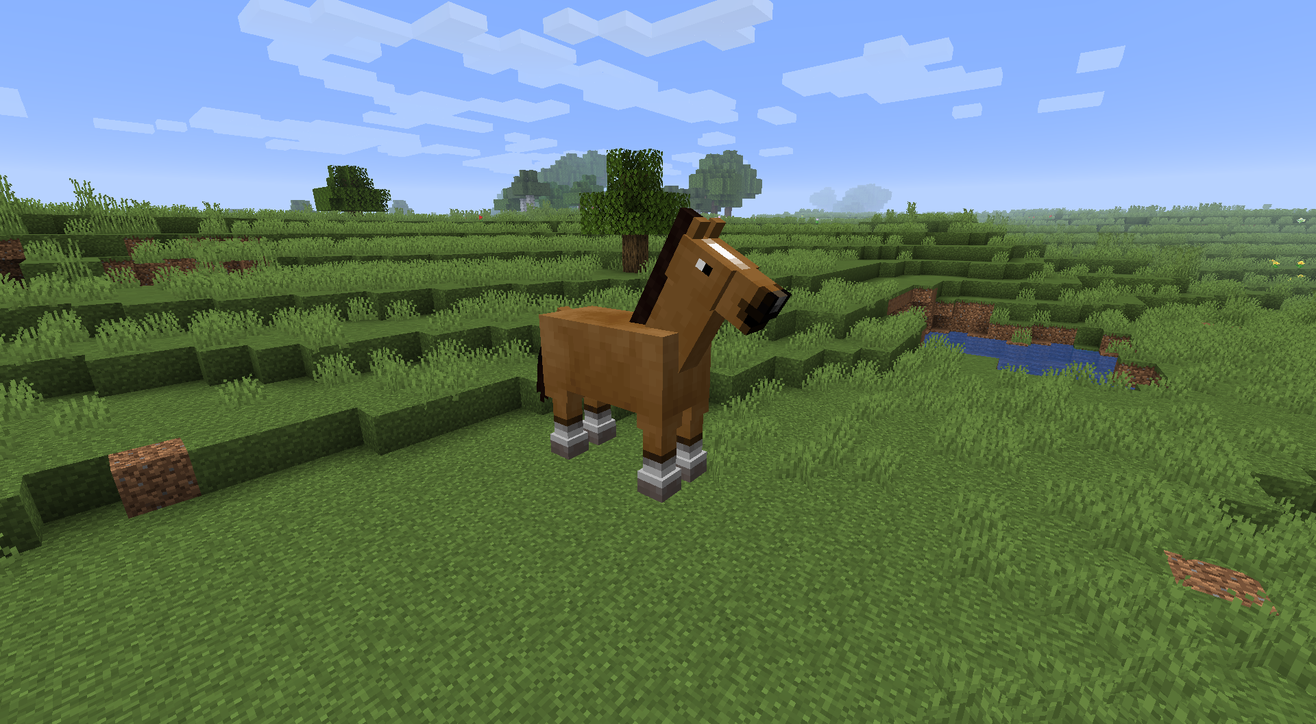 Tan Horse