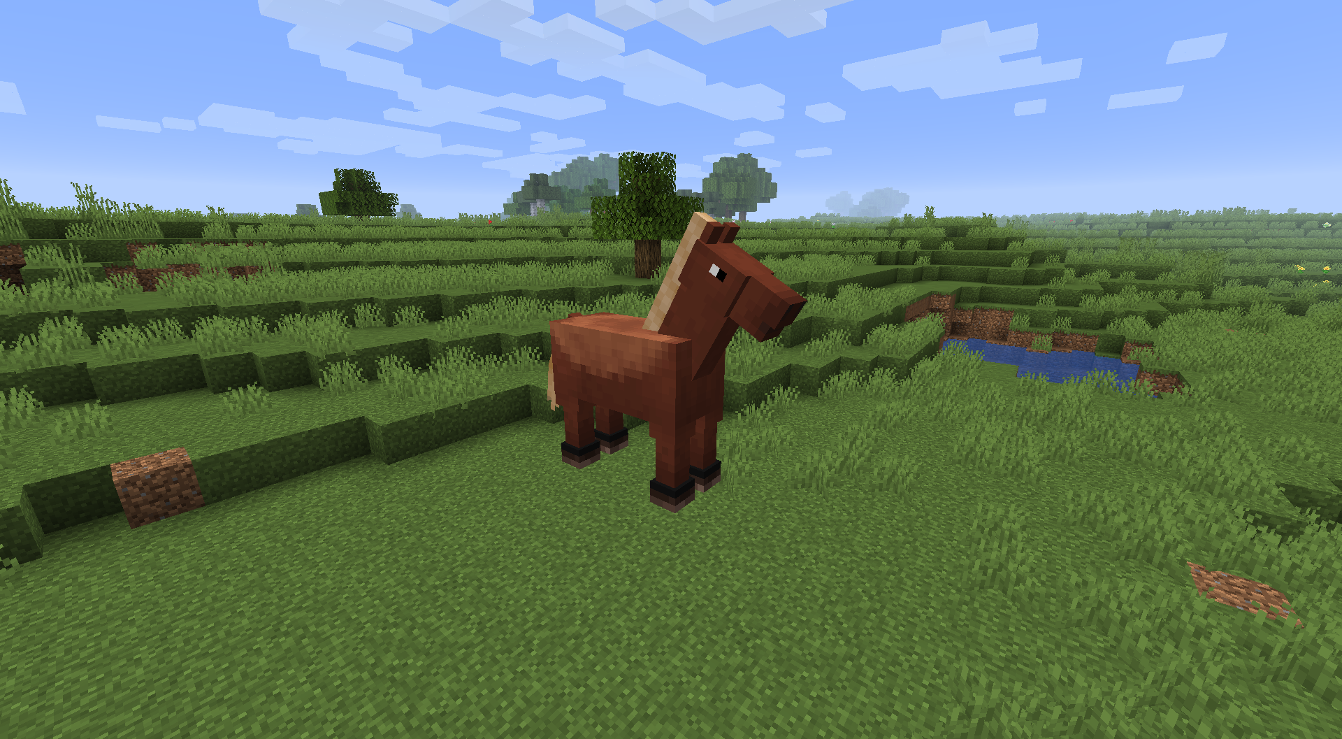 "Chestnut" Horse