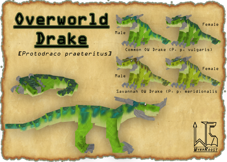 Overworld Drake