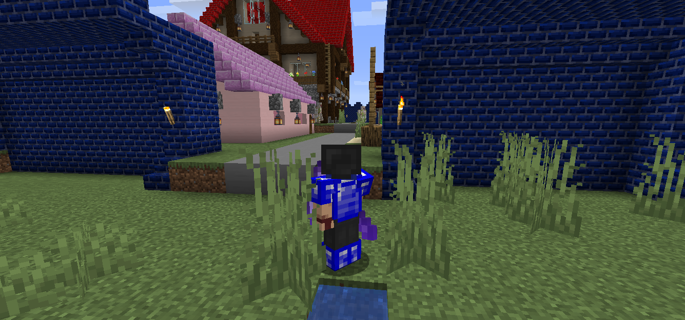 Castle Town structure generated in a castle zone biome.