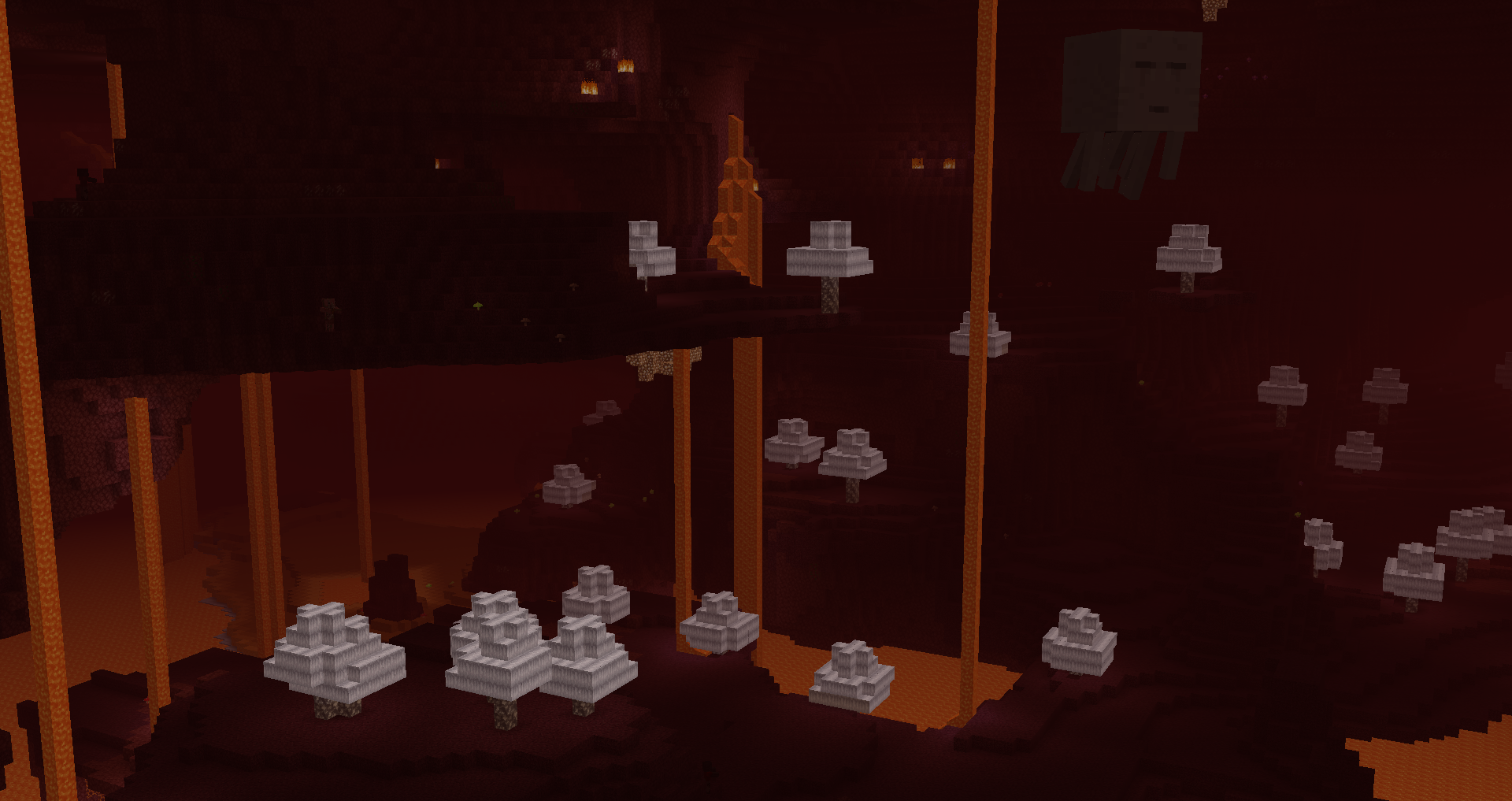 Another shot of the Nether