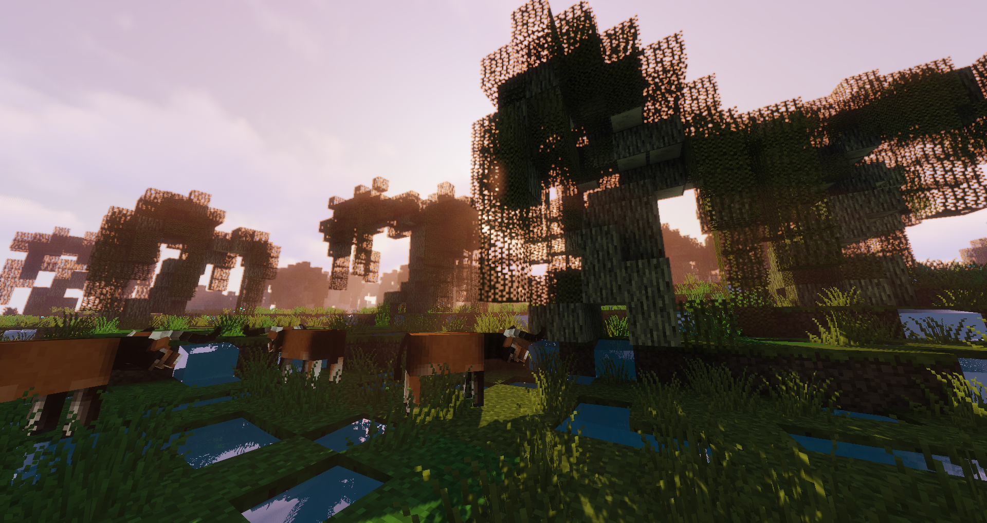 Generated World
