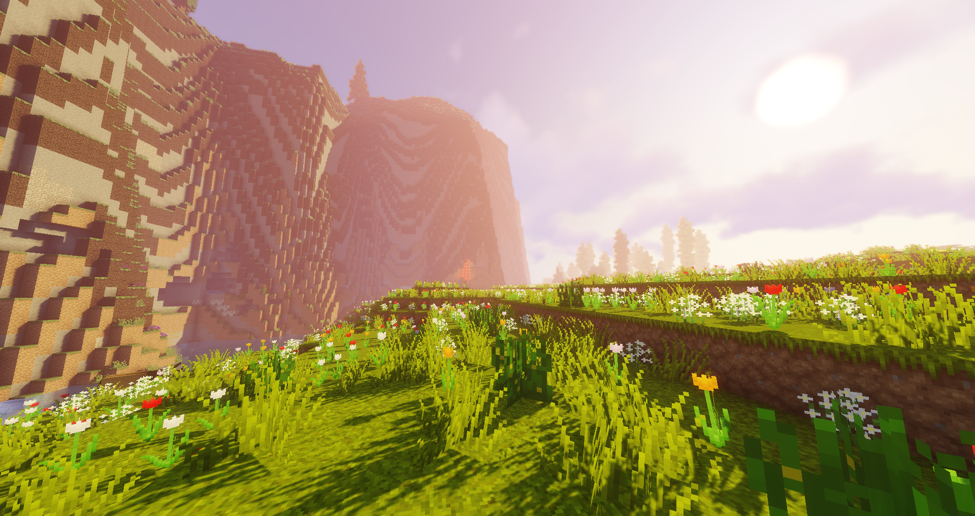 Generated World