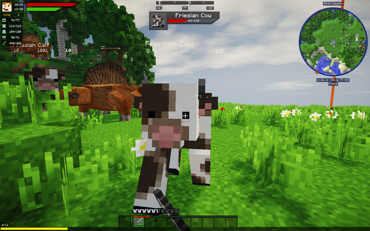 The first person view with the HUD.