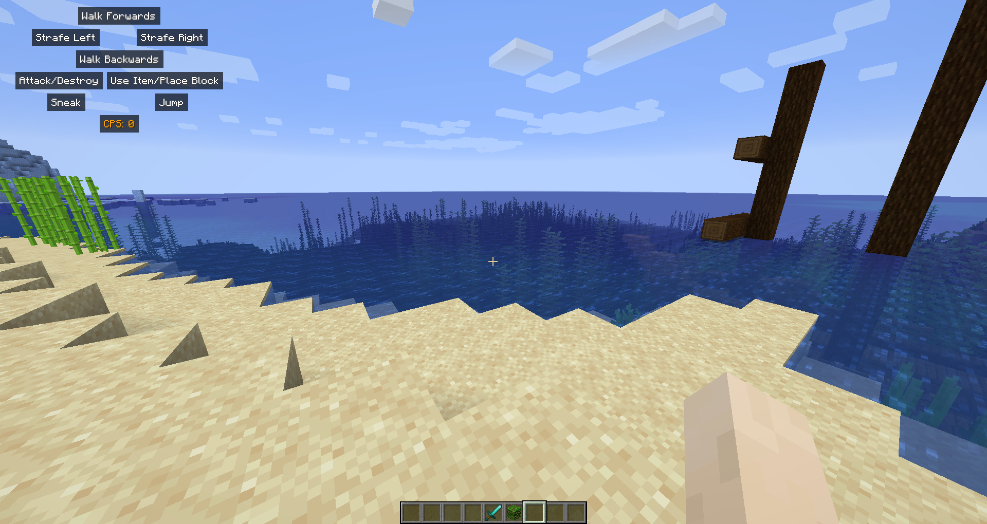 CPS Display - Minecraft Mods - CurseForge