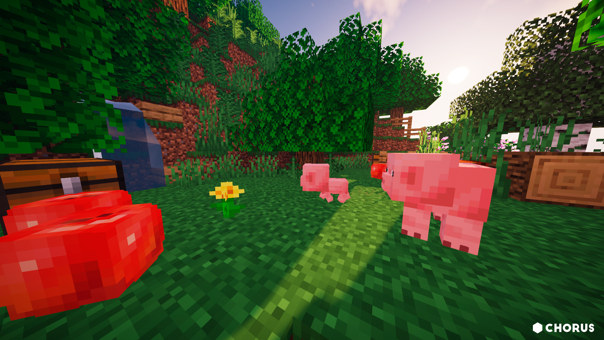 “Piggies in the Forest”