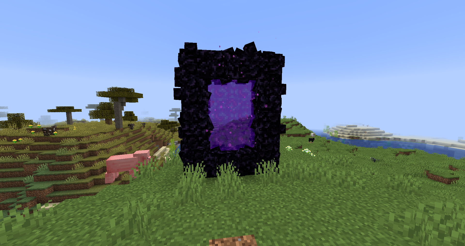 Nether Portal