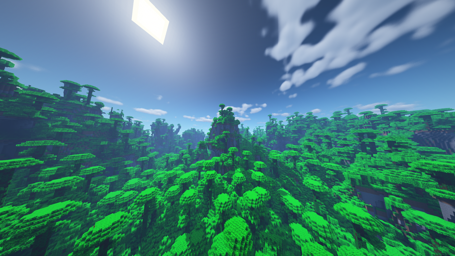 minecraft jungle biome shaders