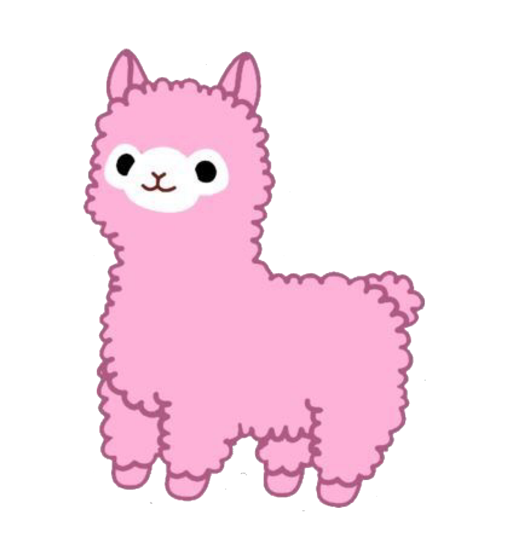 alpaca 🦙