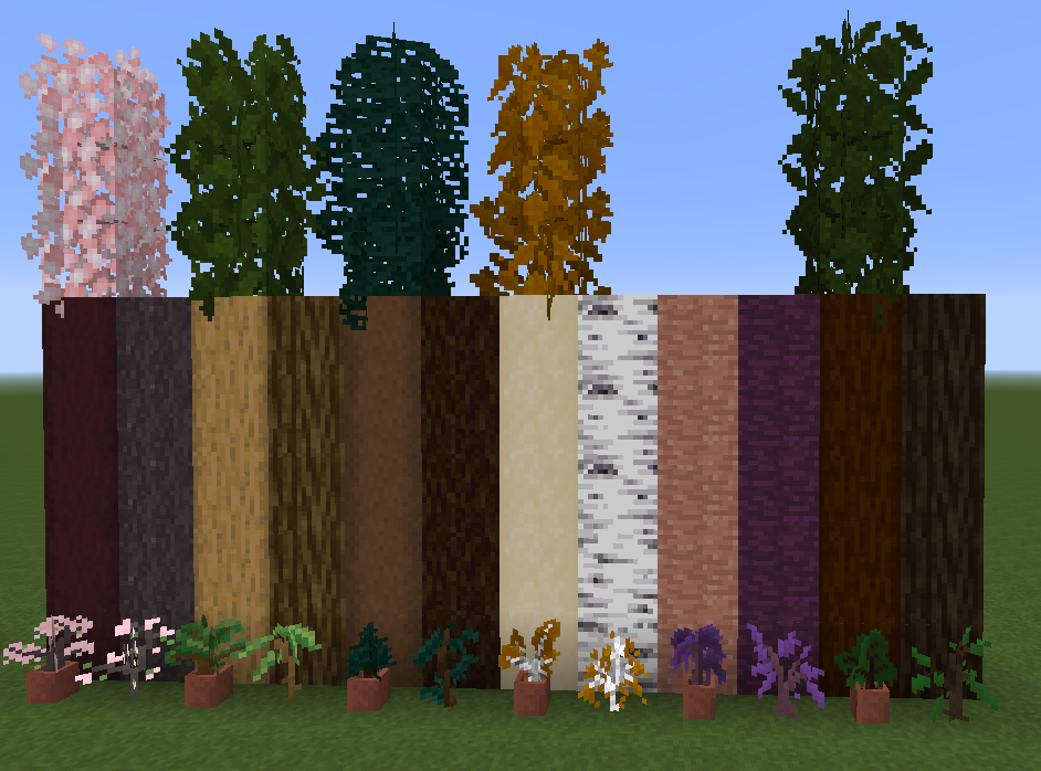 Tree trunks, saplings, and leaves