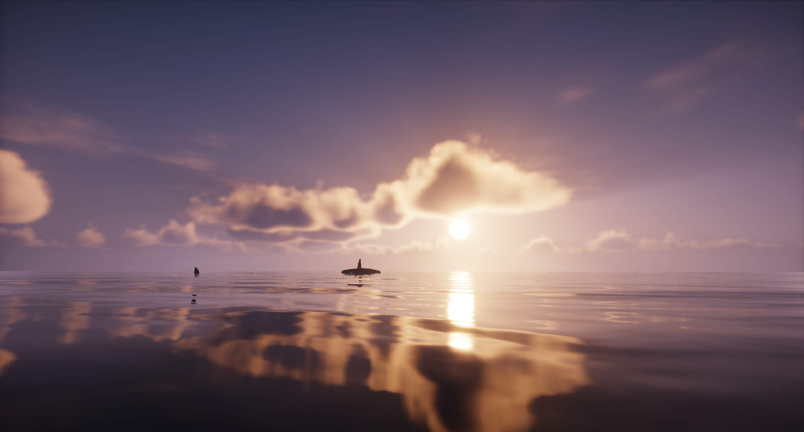 Orcas swimming in the sunrise.