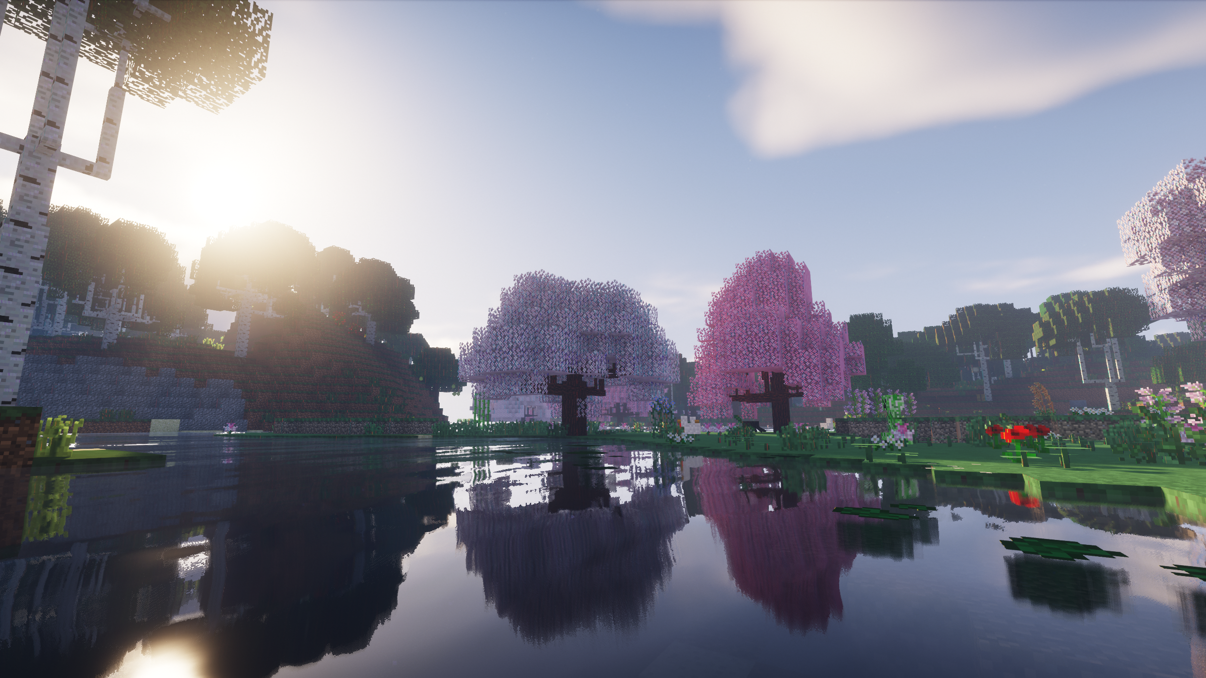 A creeper walking about in the beautiful cherry blossom grove.