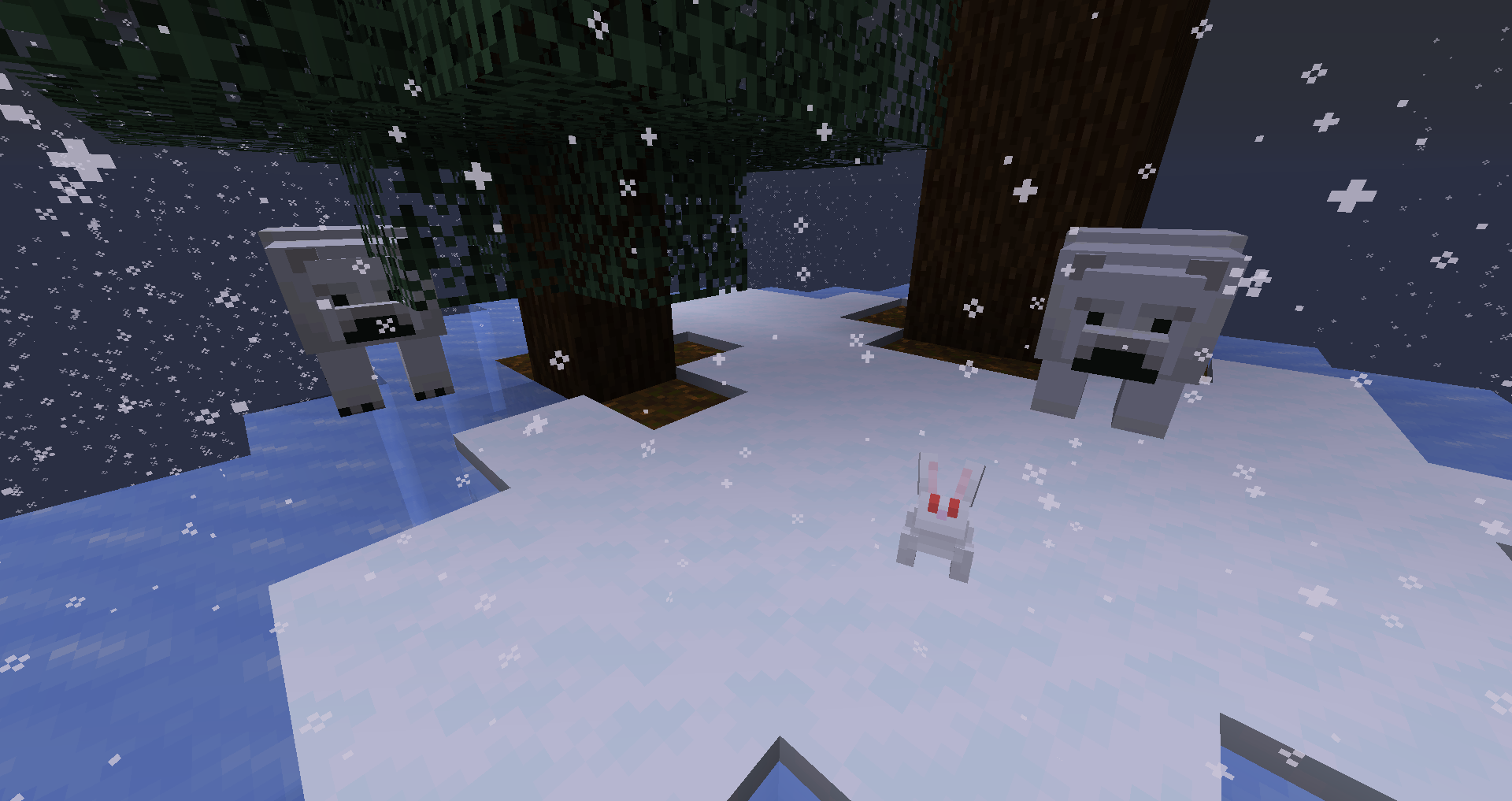 Biomes, Bunnies, and Bears, oh my!