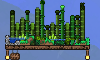 Bamboo