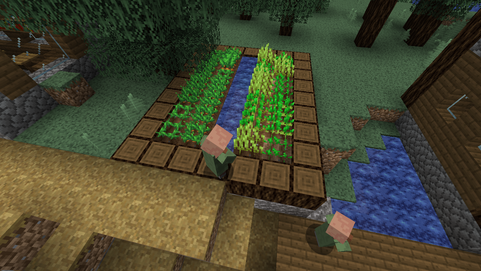 Village Crops