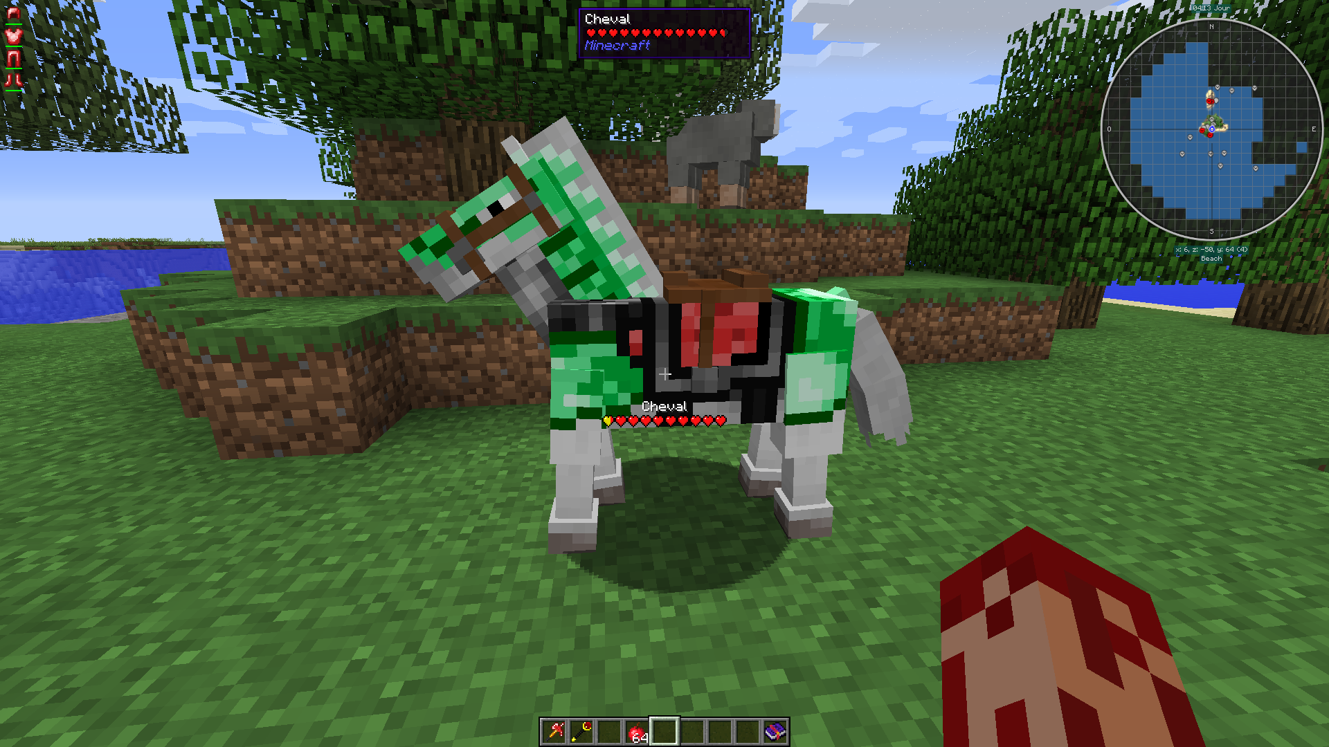 Maybe my horse feel better now ?