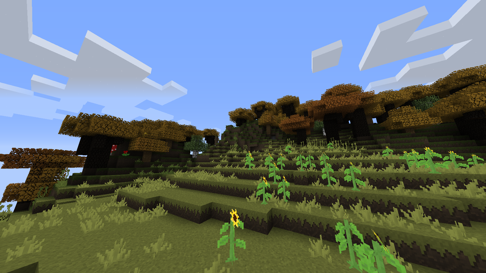 Roofed forest exterior