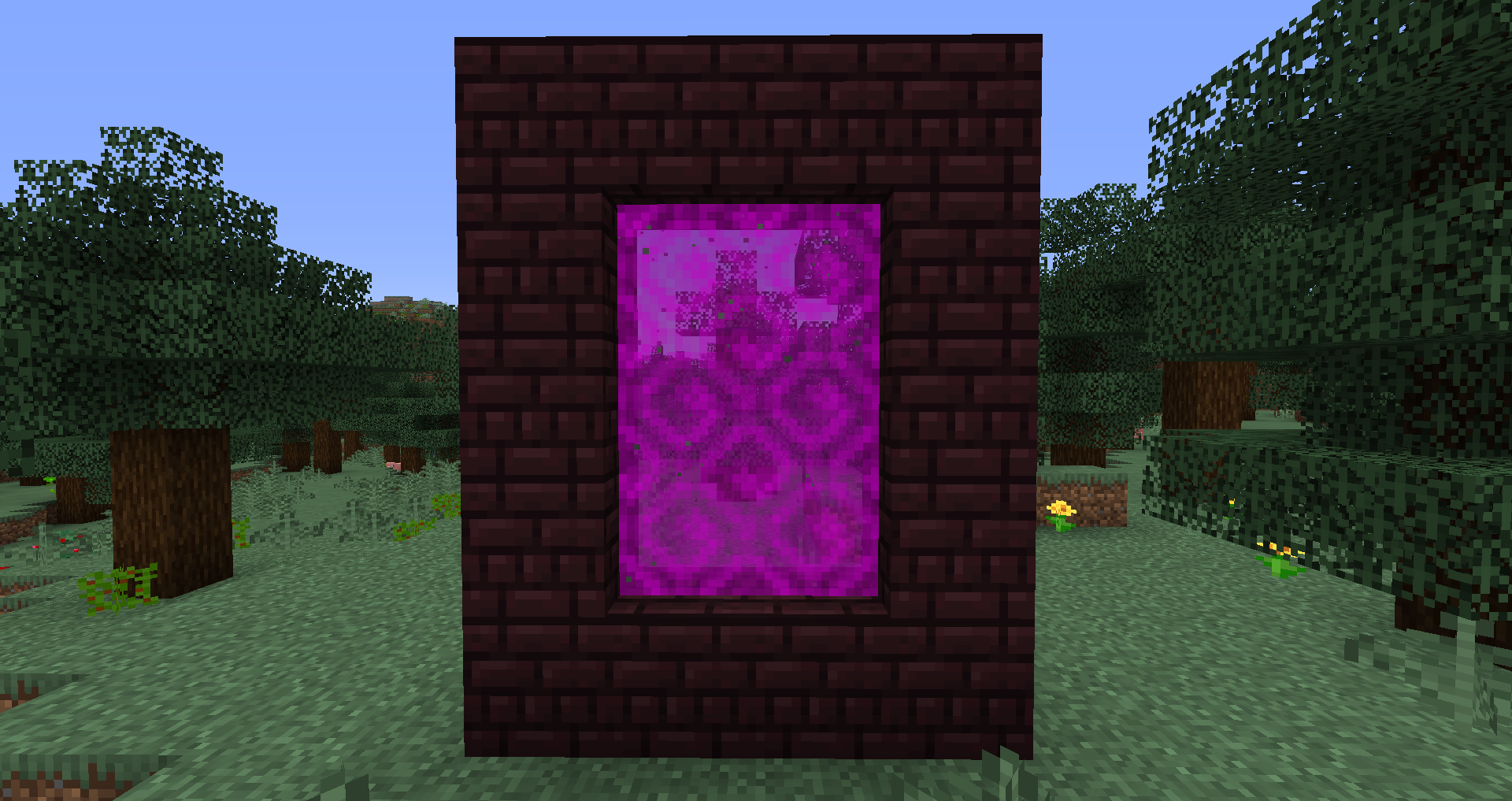 The Portal for the Void