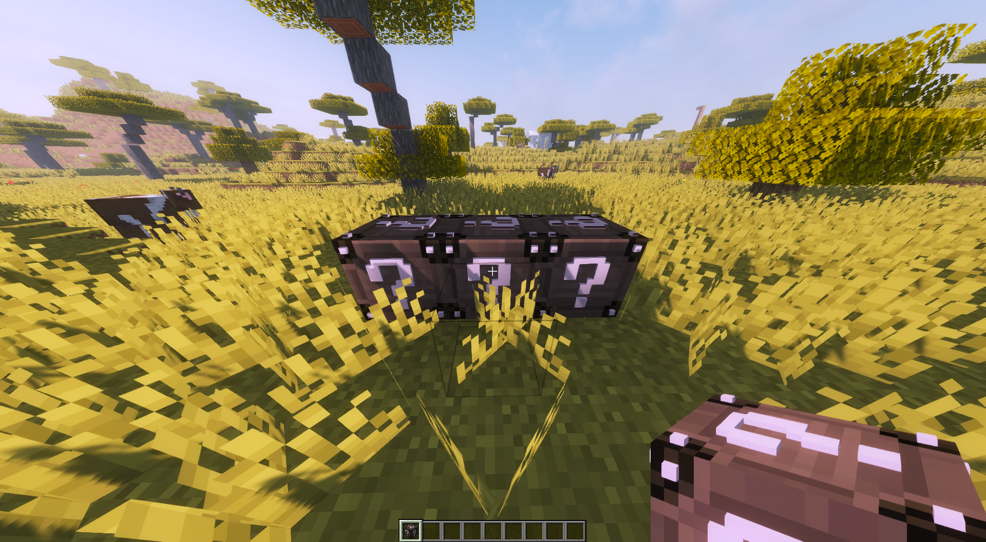 3 Lucky Block