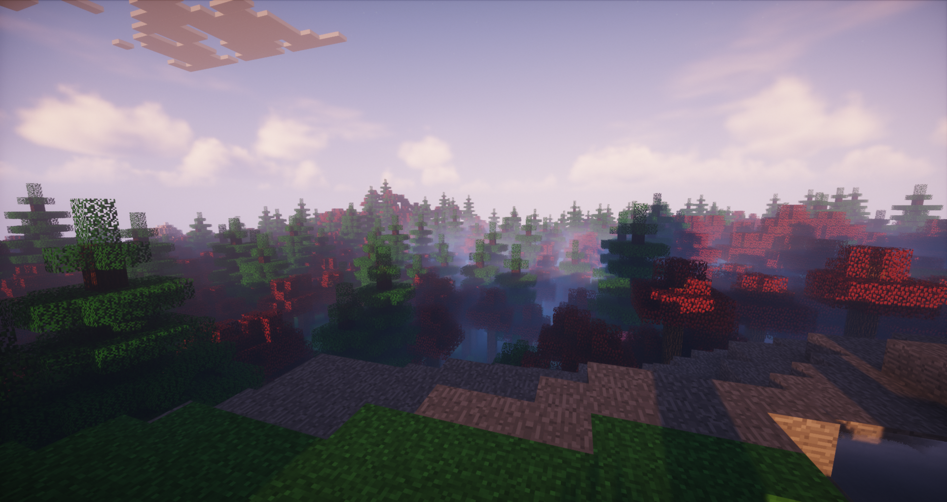 A forest view and shader