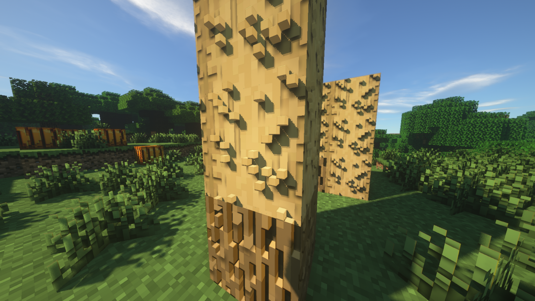 how to use shaders with texture pack in minecraft