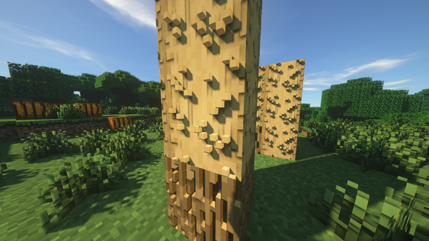 Better Raw Blocks Minecraft Texture Pack