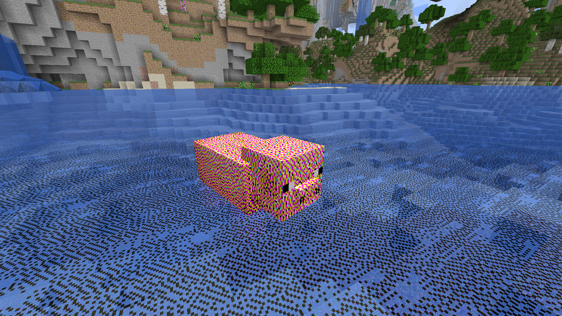 Pig in the water