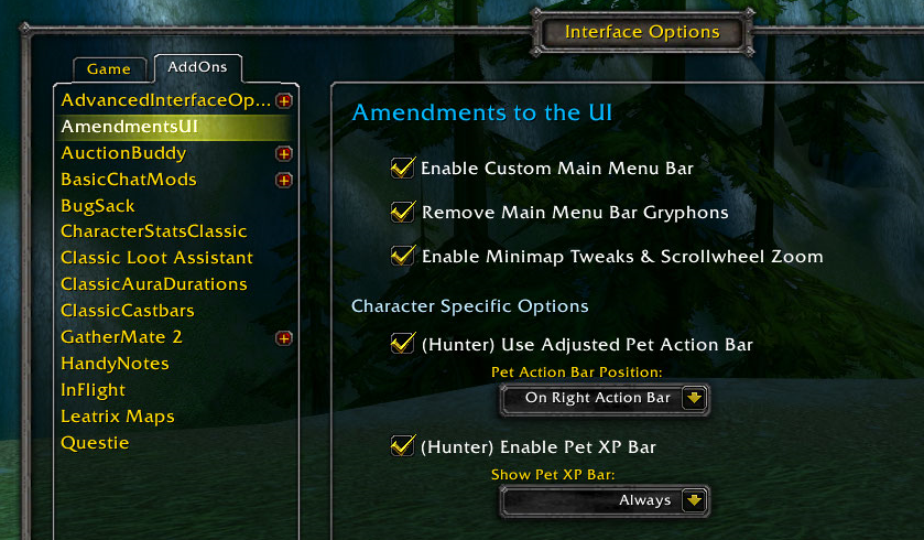The Amendments to the UI options panel
