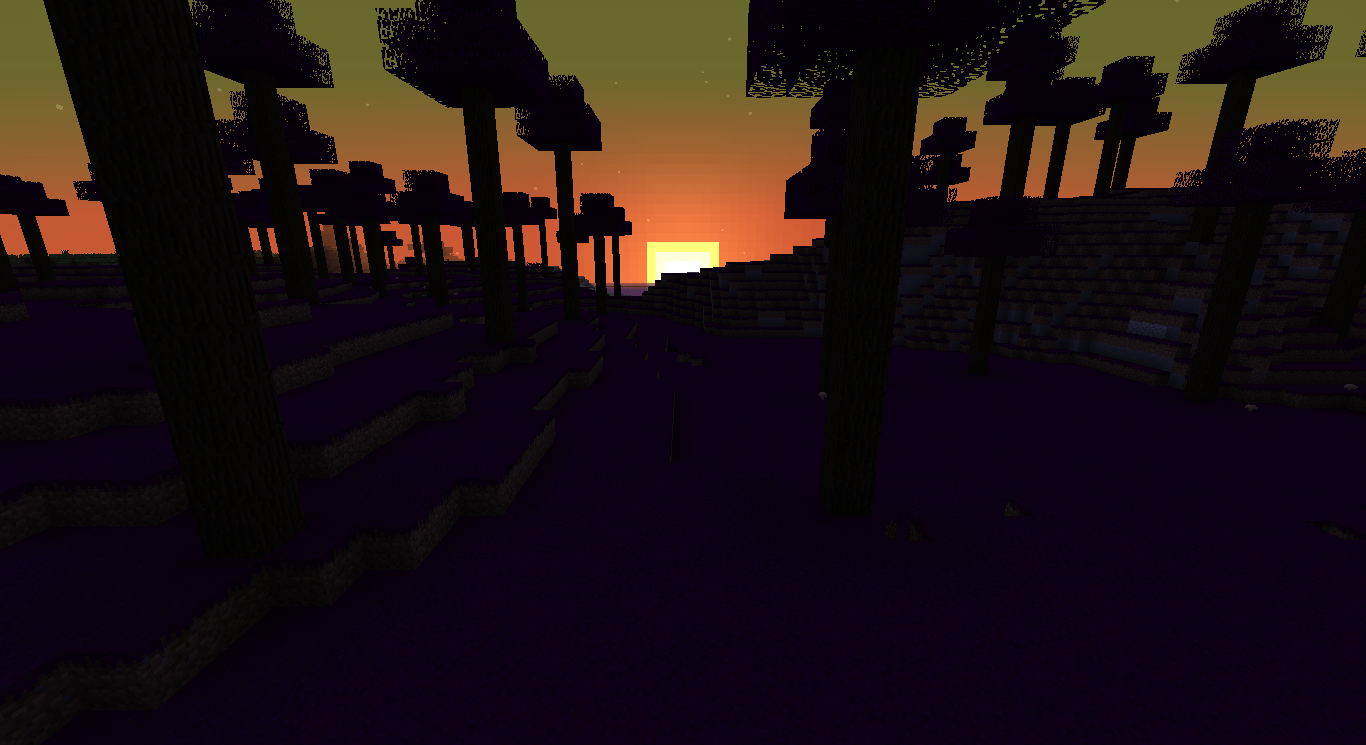 Infested Sunset