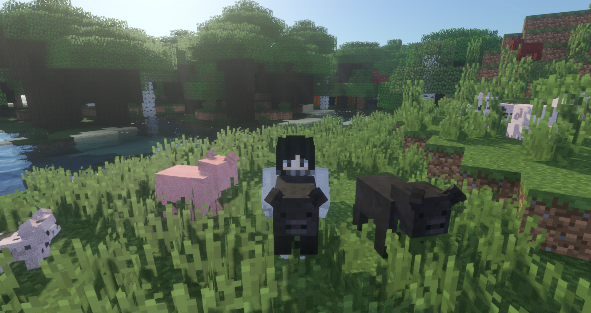 This picture describes what pigs are in the game!