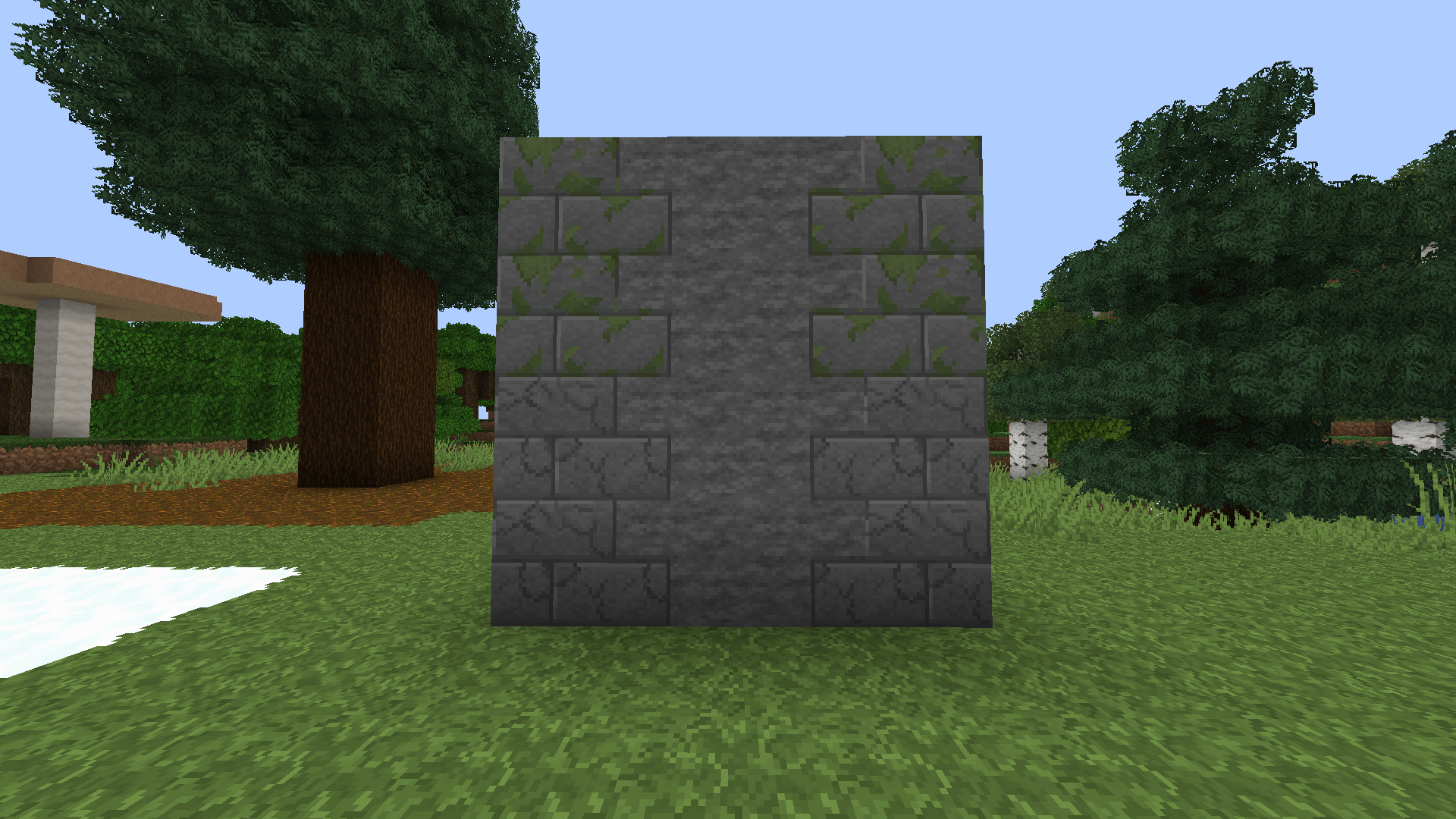 Other Stone Brick Variants