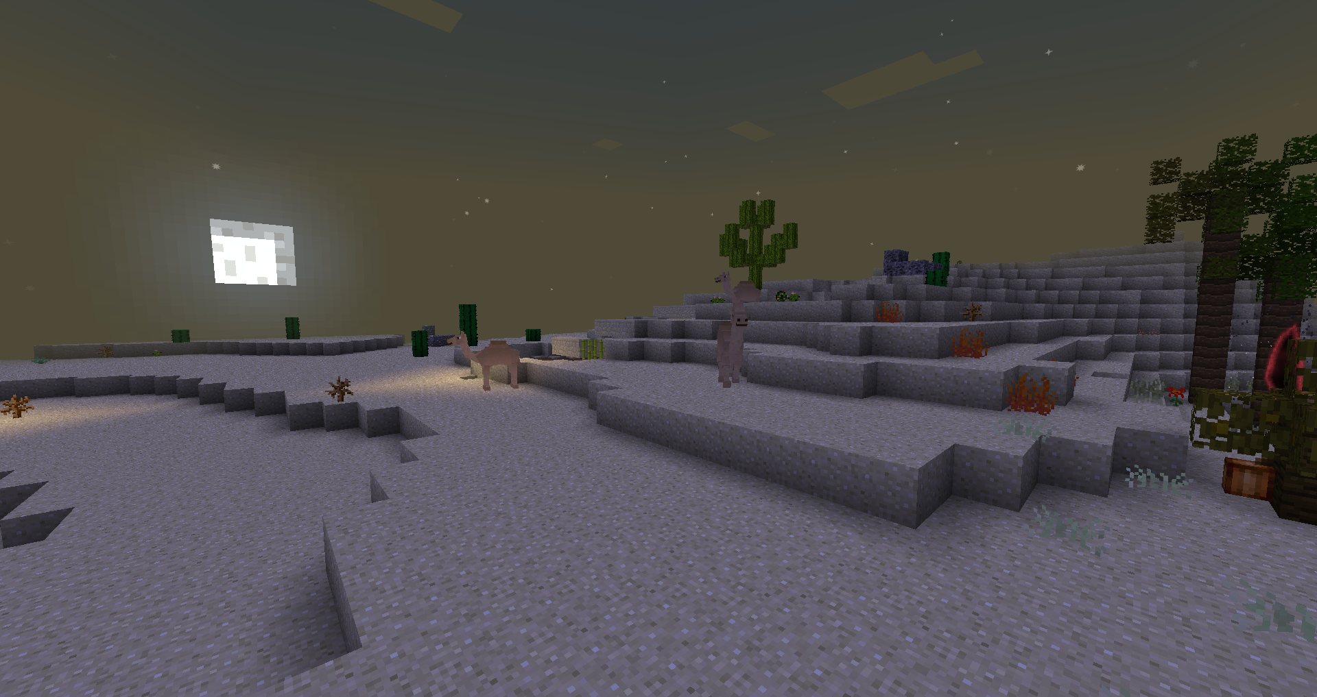 (Wizard Animals Beta, Biomes O' Plenty)