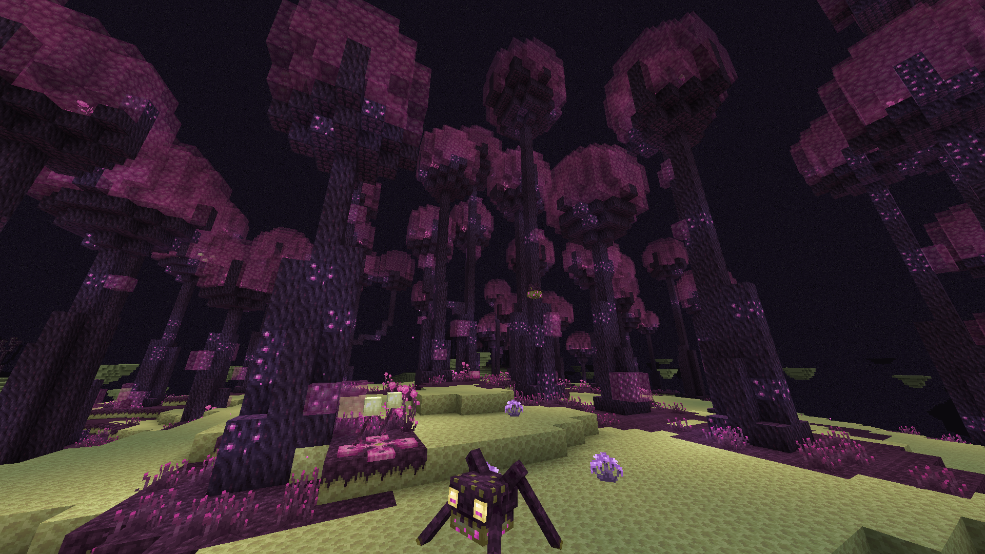 The End dimension has had a revamp and is now much more interesting to explore!