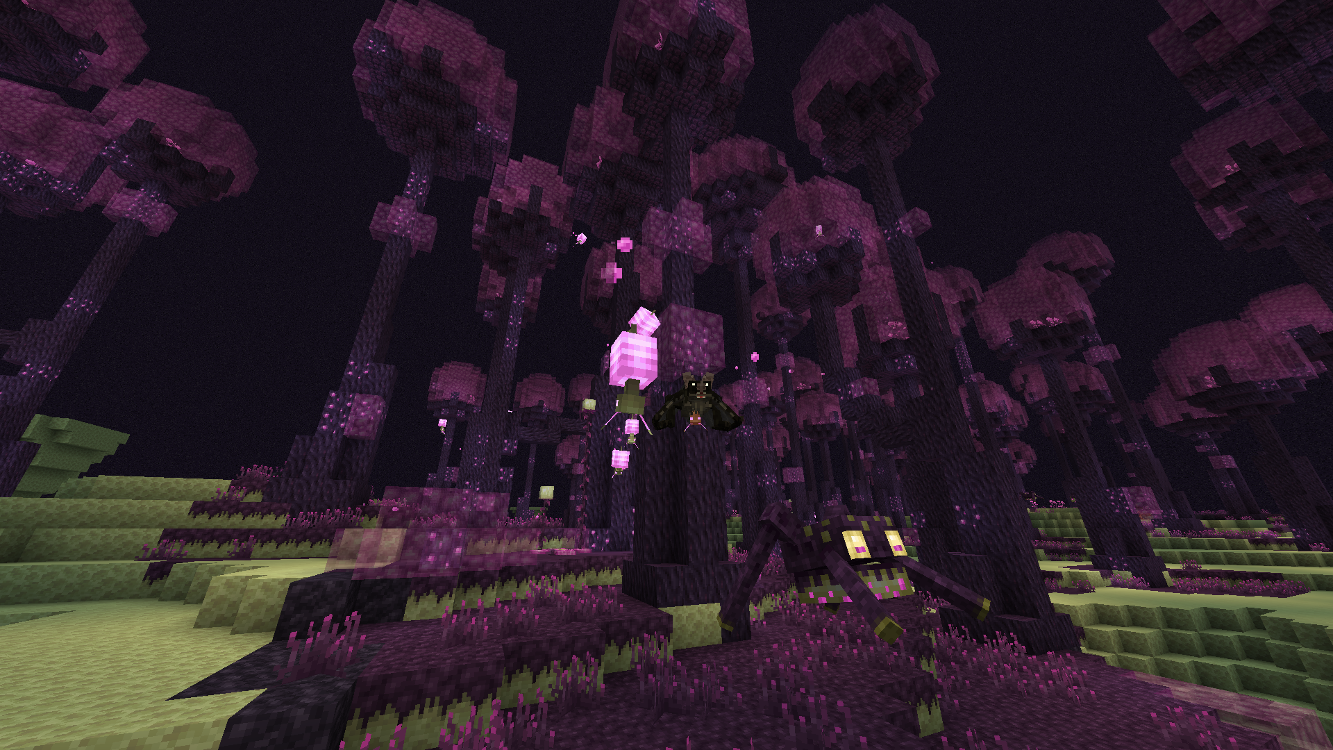 The End has had an enhancement, with new biomes, mobs and blocks! It is a lot more exciting and dangerous to explore!