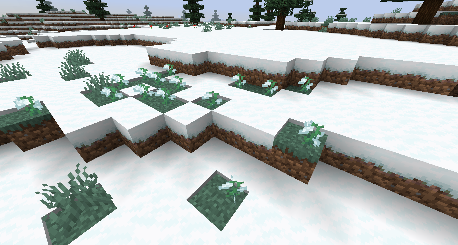 Ice age flower naturally spawned in a snowy tundra biome.