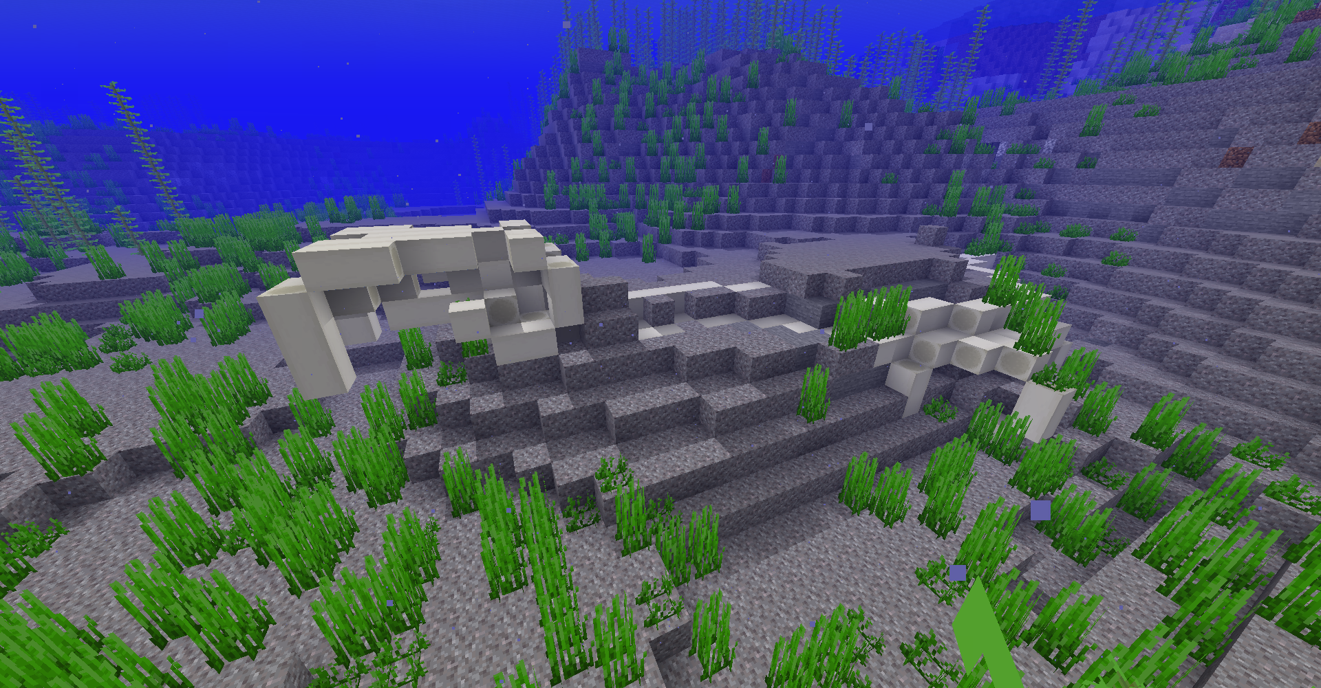 The remains of an undiscovered creature