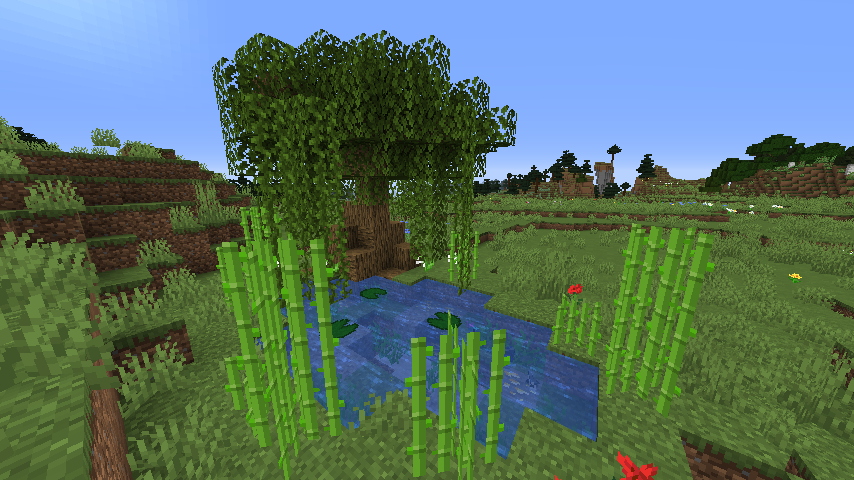 A beautiful pond, will it contain a hidden treasure?