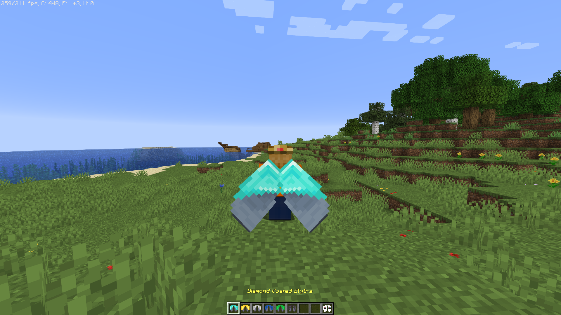 Diamond Coated Elytra