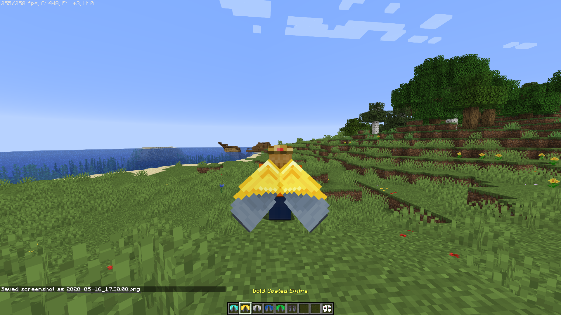 Gold Coated Elytra