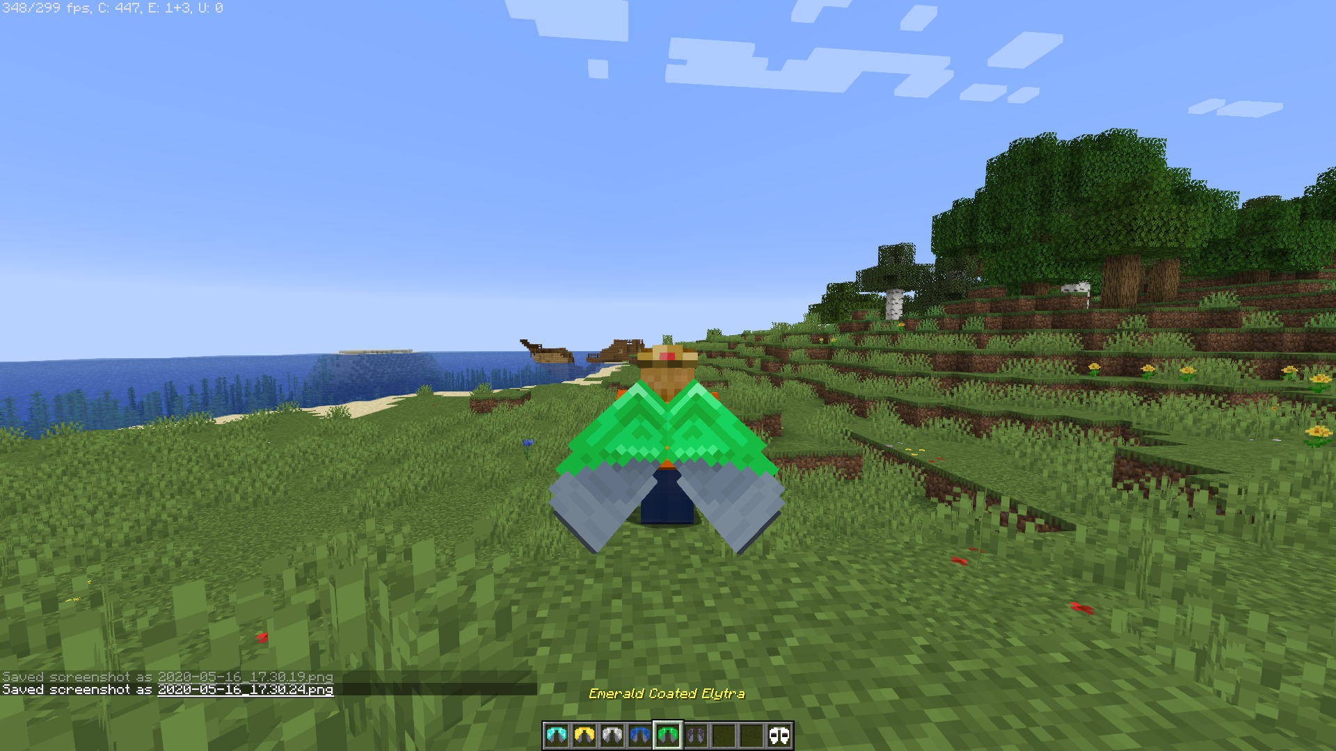 Emerald Coated Elytra