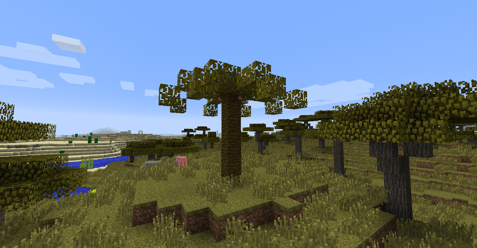 Possible to generate certain Fruit Trees as Palmtrees