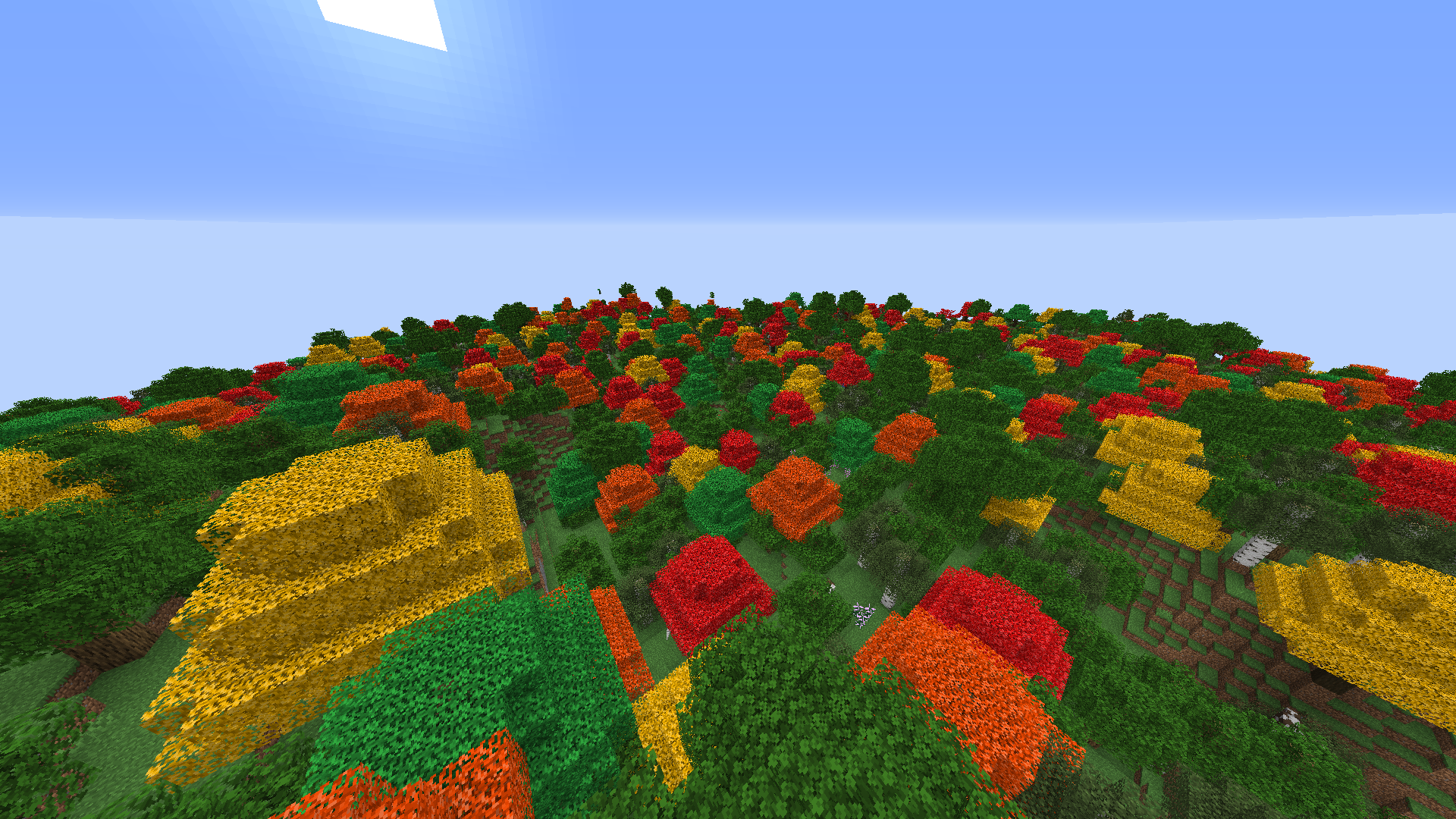 A scenic mixed forest.