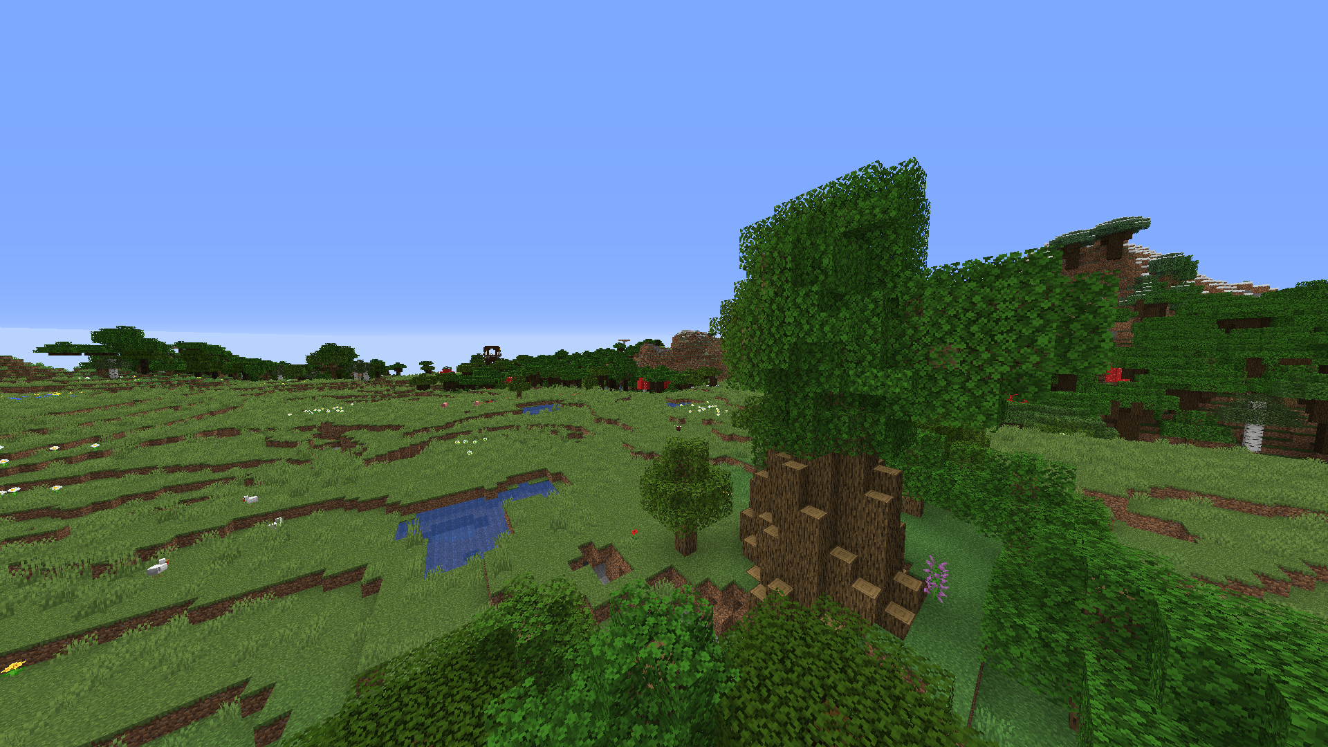 A naturally generating big tree with a pillager outpost in the distance.