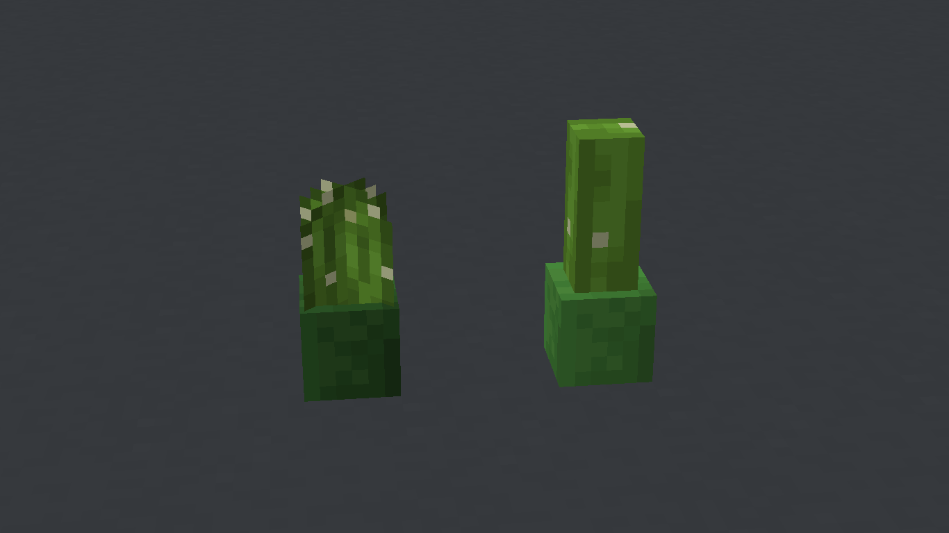 I randomized the potted cactus.